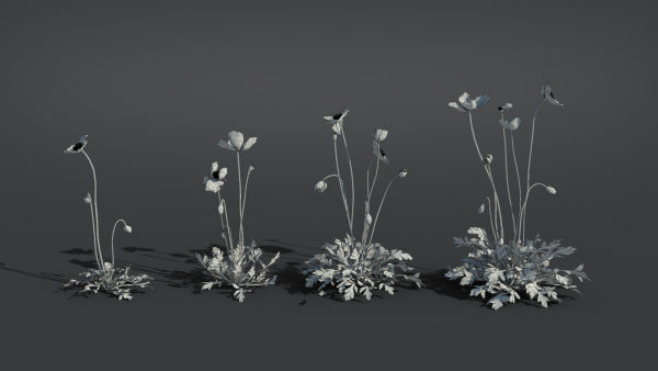 Iceland Poppy VFX Grace