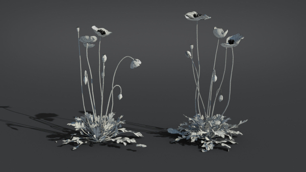 Iceland Poppy VFX Grace