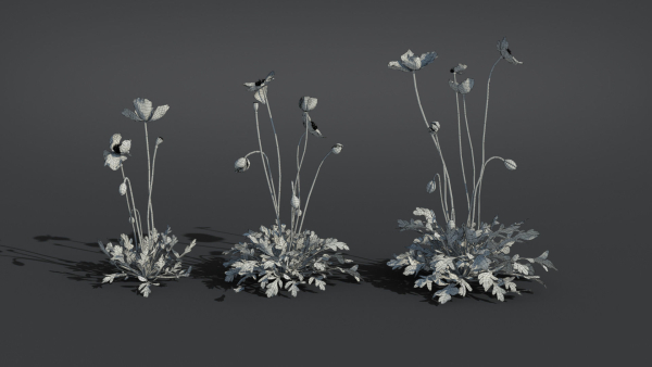 Iceland Poppy VFX Grace