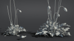 Iceland Poppy VFX Grace