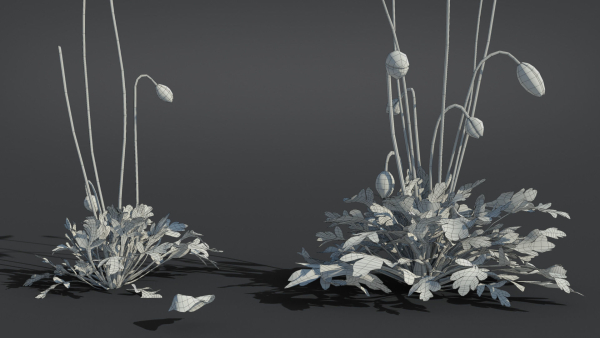 Iceland Poppy VFX Grace