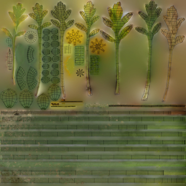 Iceland Poppy VFX Grace