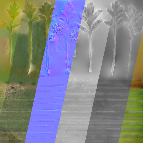 Iceland Poppy VFX Grace