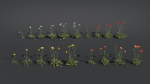 Iceland Poppy VFX Grace