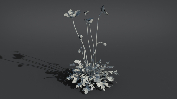 Iceland Poppy VFX Grace
