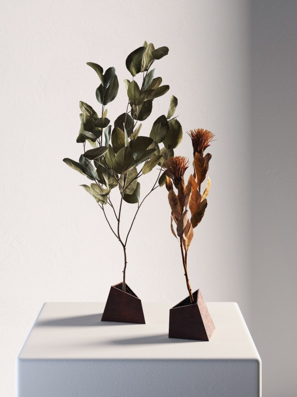 Ikebana 5 two eucalyptus trees on table