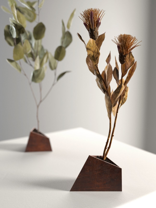 Ikebana 5 two eucalyptus trees on table