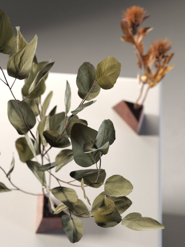 Ikebana 5 two eucalyptus trees on table