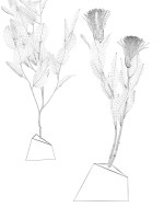 Ikebana 5 two eucalyptus trees on table