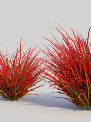 imperata-cylindrica-rubra-b-3d-model-51baebbee6
