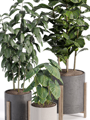 indooe-plants-in-vase-006-3d-model-7c54ac05d9