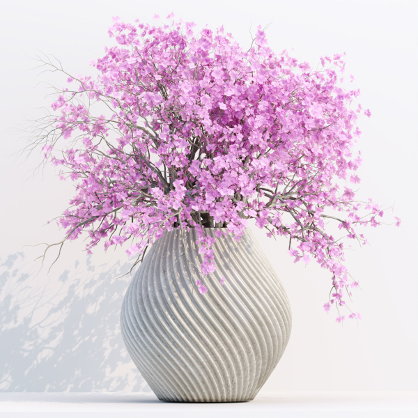 Indoor decorative plants collection