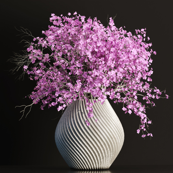 Indoor decorative plants collection