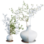 Indoor decorative plants collection