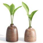 Indoor decorative plants collection
