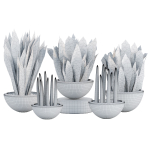 Indoor decorative plants collection