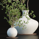 Indoor decorative plants collection