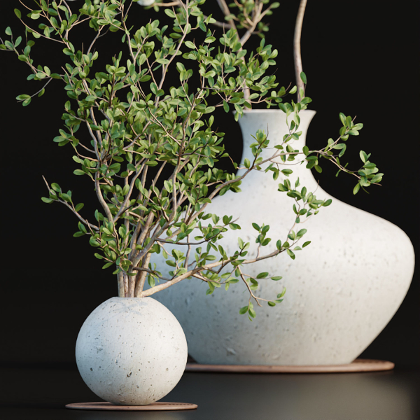Indoor decorative plants collection