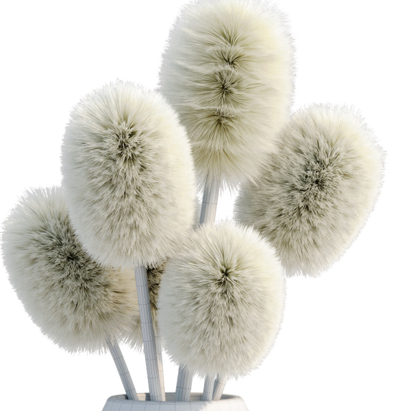 Indoor decorative plants collection
