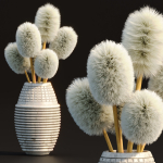Indoor decorative plants collection