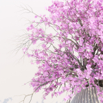 Indoor decorative plants collection