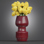 Indoor decorative plants collection