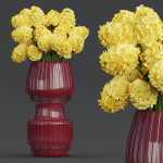 Indoor decorative plants collection