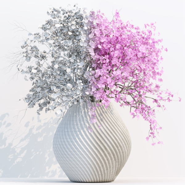 Indoor decorative plants collection