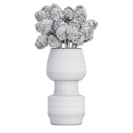 Indoor decorative plants collection