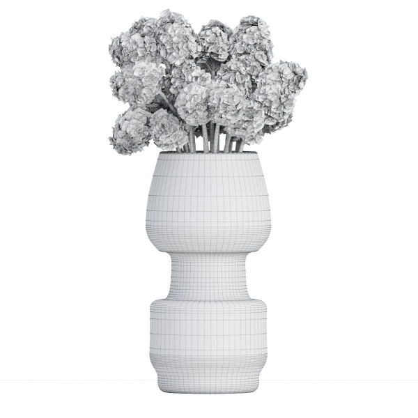 Indoor decorative plants collection