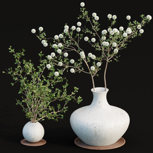 Indoor decorative plants collection