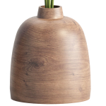 Indoor decorative plants collection
