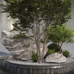 Indoor Garden 2