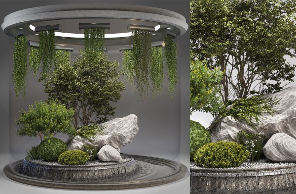 Indoor Garden 2
