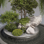 Indoor Garden 2