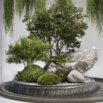 Indoor Garden 2
