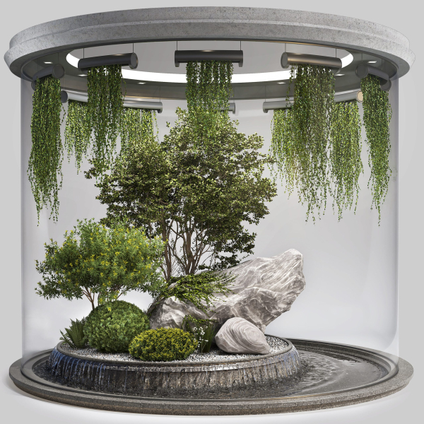 Indoor Garden 2