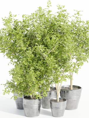 indoor outdoor collection vol 66-Blender