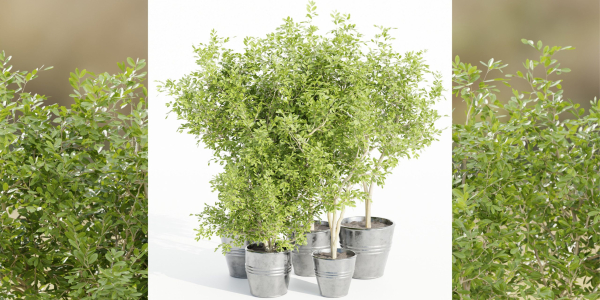 indoor outdoor collection vol 66-Blender
