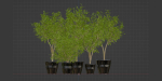 indoor outdoor collection vol 66-Blender