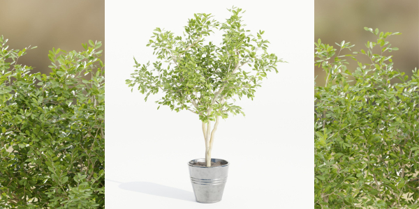 indoor outdoor collection vol 66-Blender