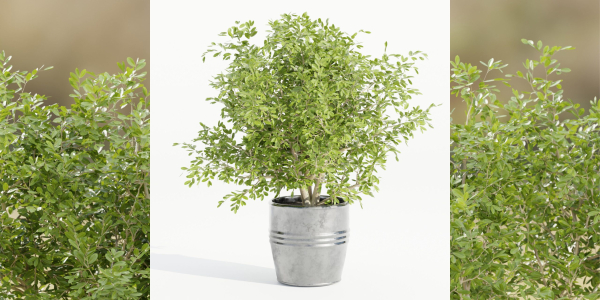 indoor outdoor collection vol 66-Blender