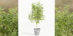 indoor outdoor collection vol 66-Blender