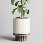 Indoor outdoor plant 106 wood vase pot ficus-rubbery