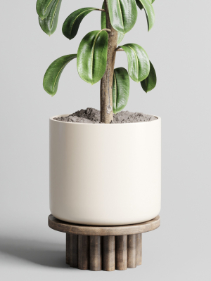 indoor-outdoor-plant-106-wood-vase-pot-ficus-rubbery-3d-model-max-obj-3ds-fbx