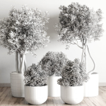 Indoor outdoor plant  tree plant bush dirty concrete vase pot