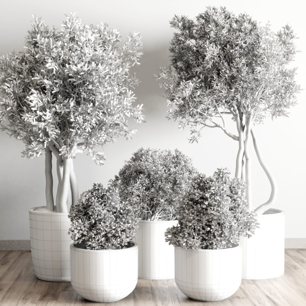 Indoor outdoor plant  tree plant bush dirty concrete vase pot