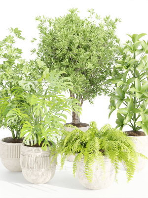 Indoor Outdoor Plants collection vol 105-Blender