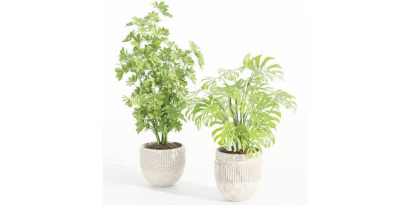 Indoor Outdoor Plants collection vol 105-Blender