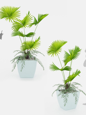 indoor-palm-plant-3d-model-max-obj